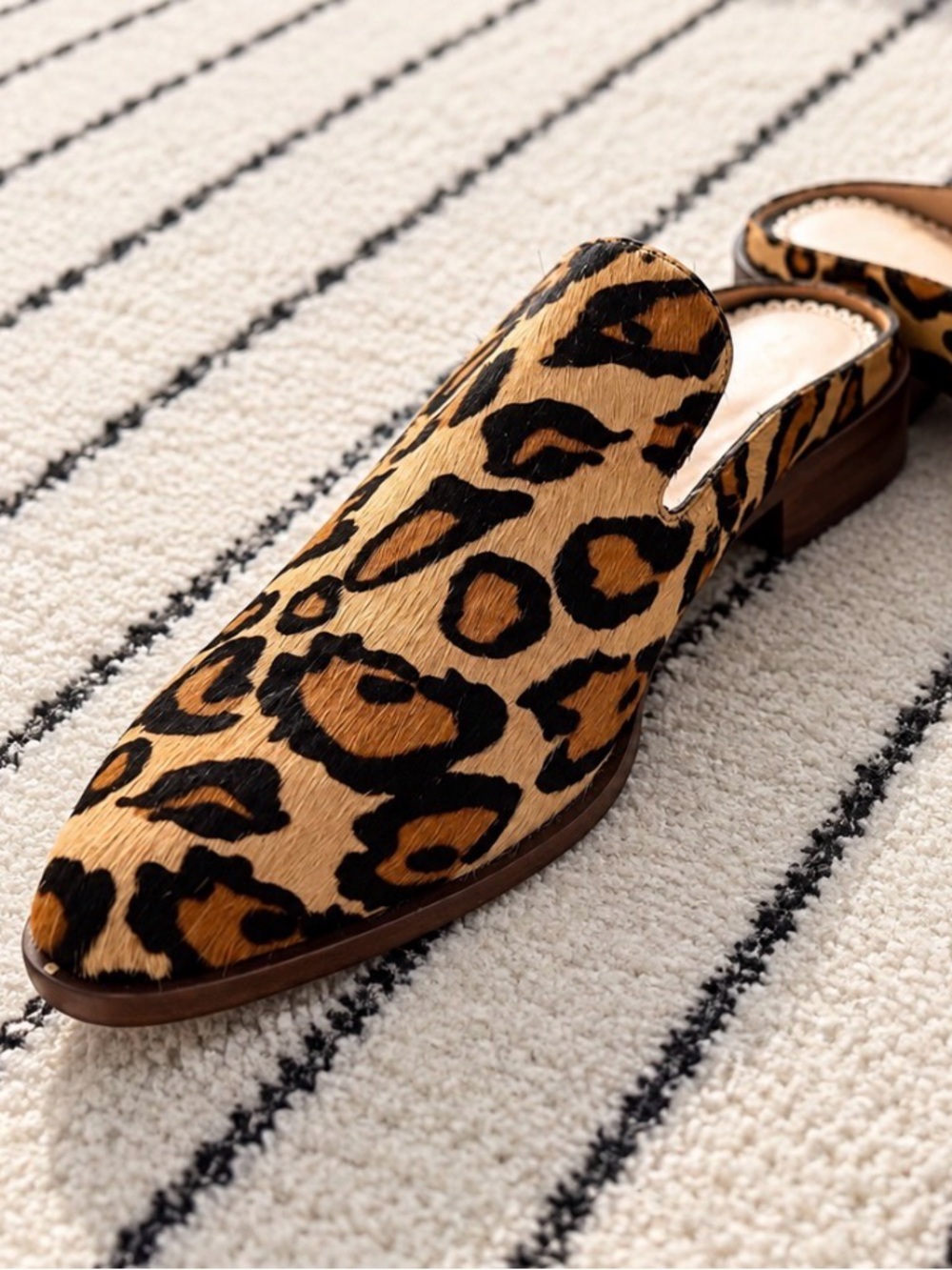 Sam Edelman Leopard Print Slip-On Mules in Tan and Black NEW Size 9